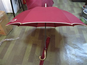 昆明 折疊傘 定做,印字,批發(fā)昆明廣告?zhèn)愣ㄗ鲭p骨